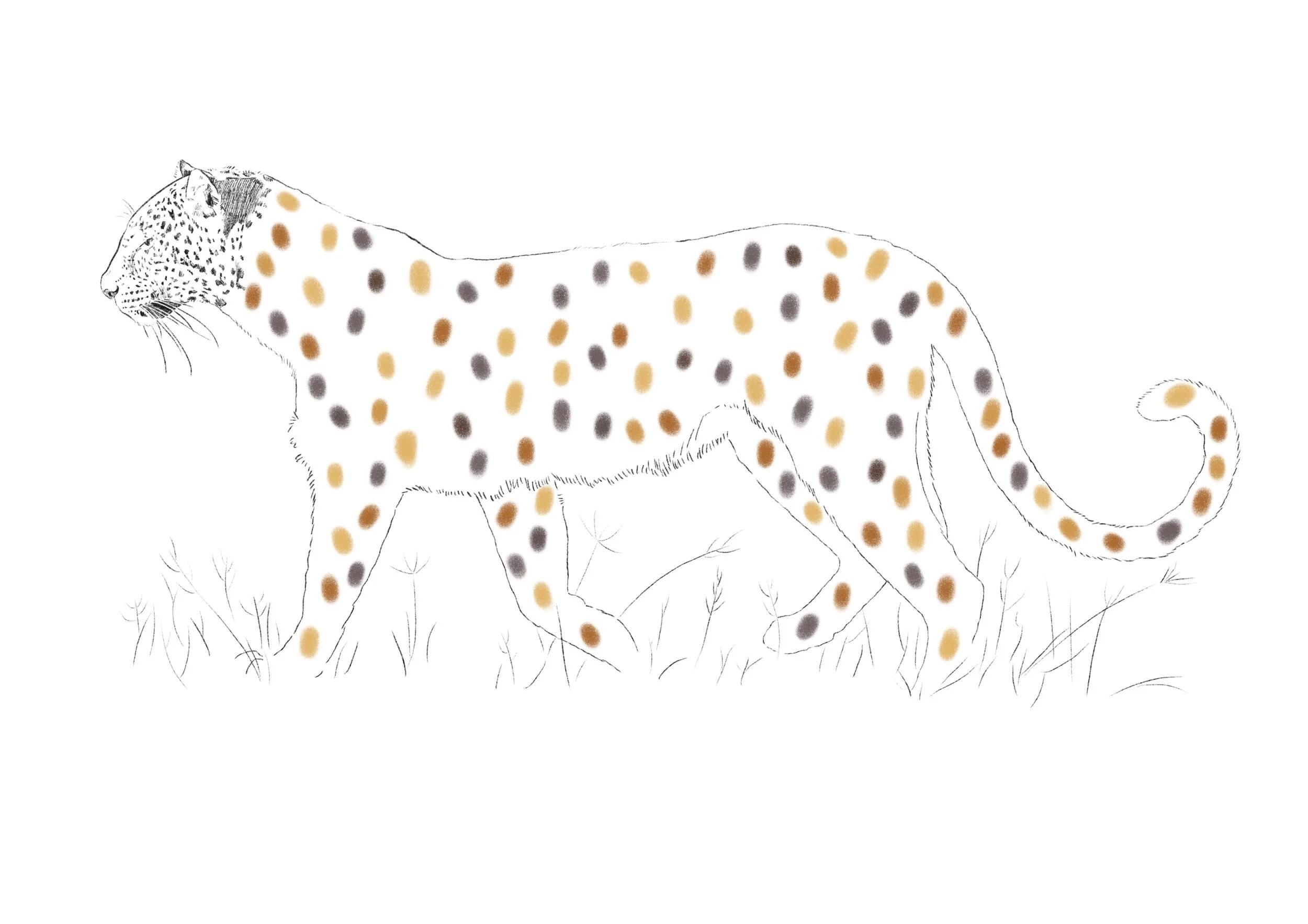 0DC3C21D-D10F-4BDC-B272-7FA5231EF05F