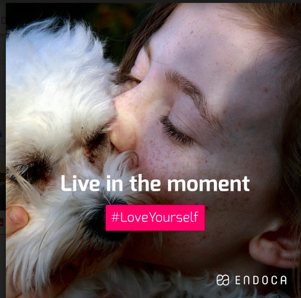 Screen Shot 2018-01-29 at 08.32.18.png