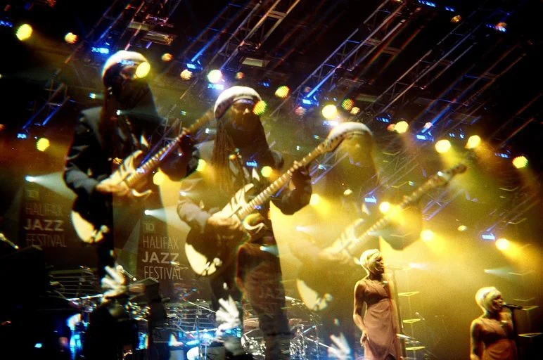 AliSeglins_ChicNileRodgers1 copy.jpeg