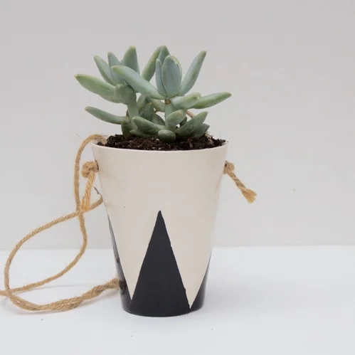 Brickyard Buffalo / Hanging Ceramic Planter