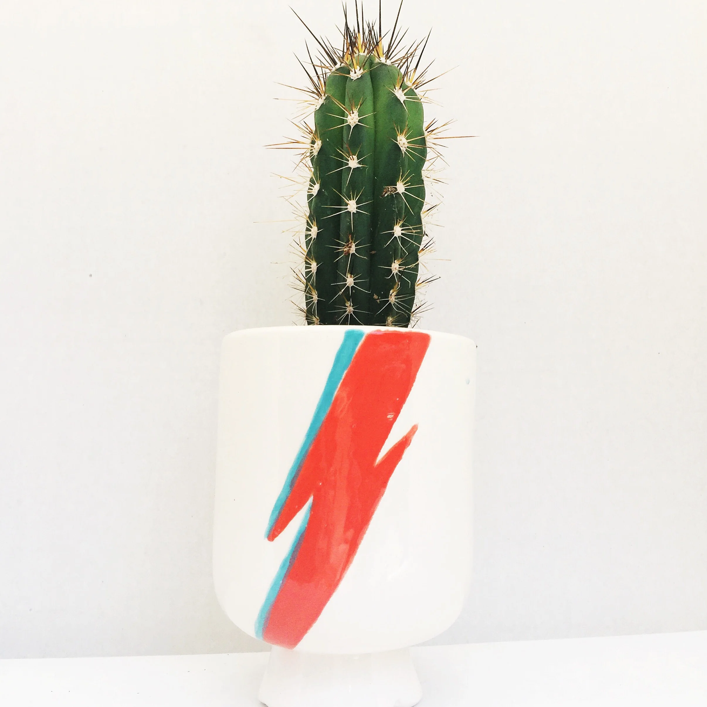 Bowie Planter 