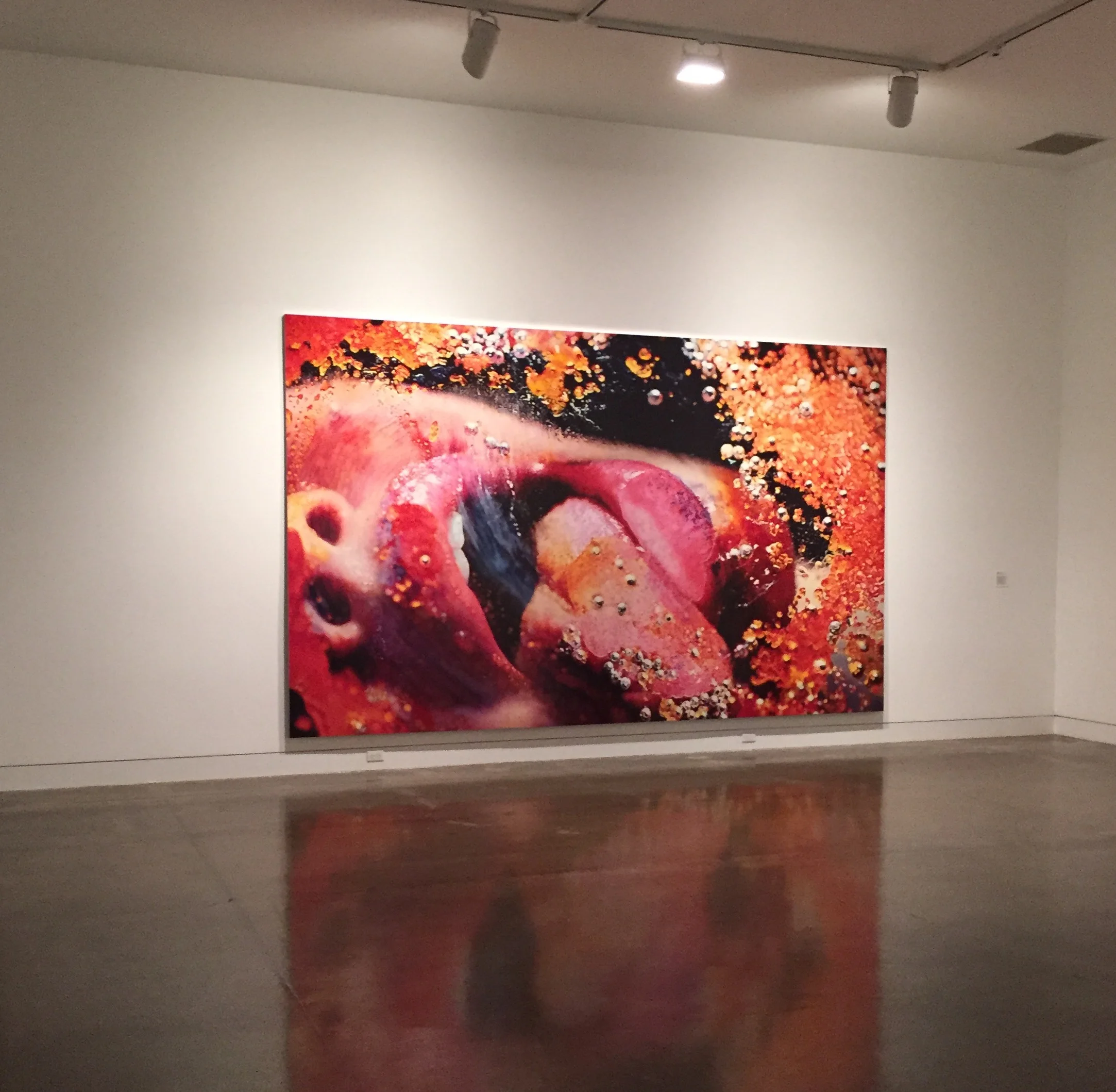 Orange Crush 2009, enamel on metal, 108 x 180 inche