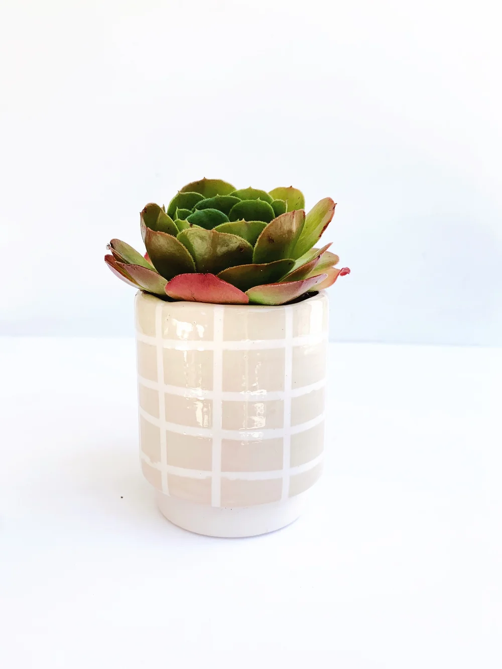 Checkered Planters  andrea luna reece | art & ceramics