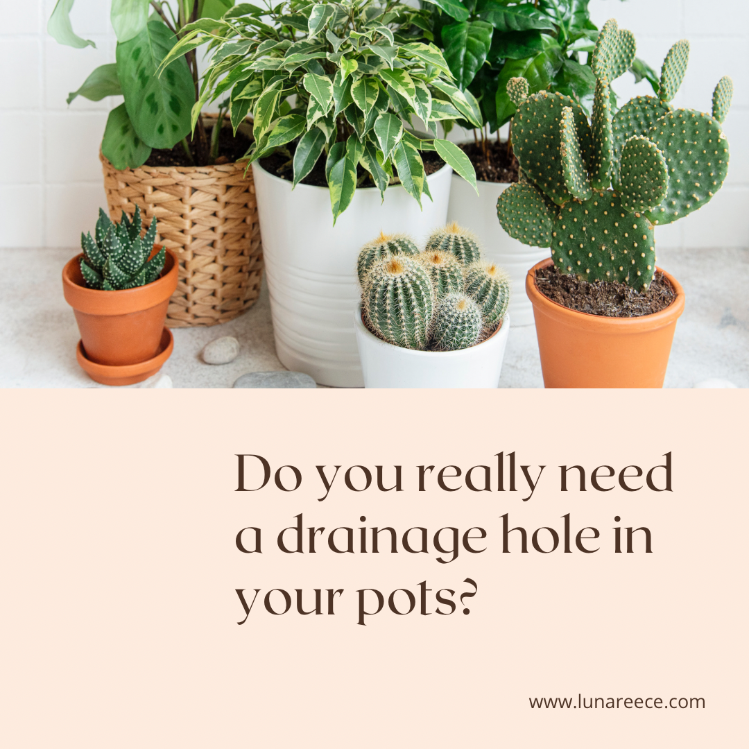 Do you really need a drainage hole in your pots? 