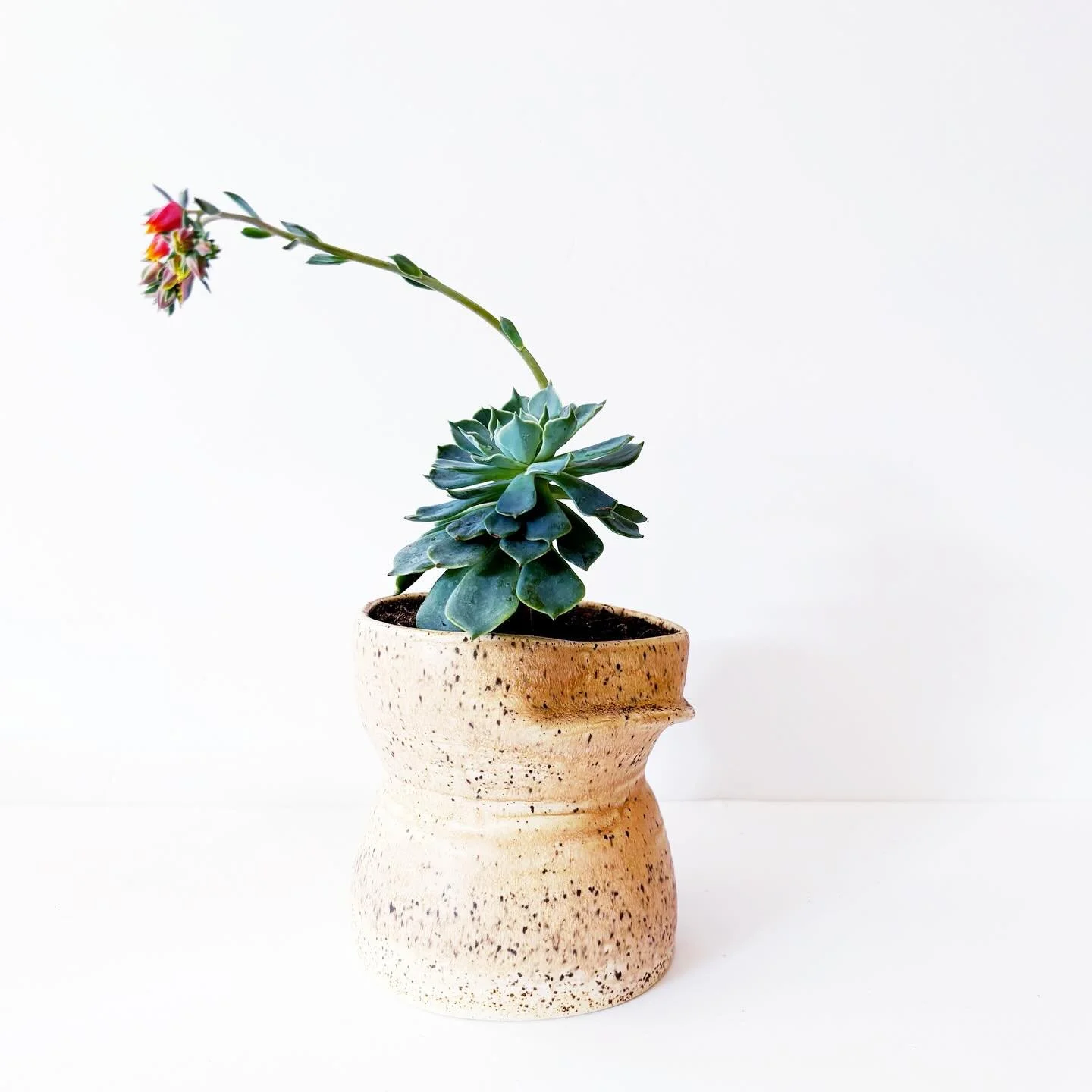 In wheel-thrown ceramics, mistakes are part of the process&mdash;but they&rsquo;re not always the end of the story. When a form collapses or shifts off-center, I don&rsquo;t throw it out. Instead, I lift what&rsquo;s left and merge it with another im