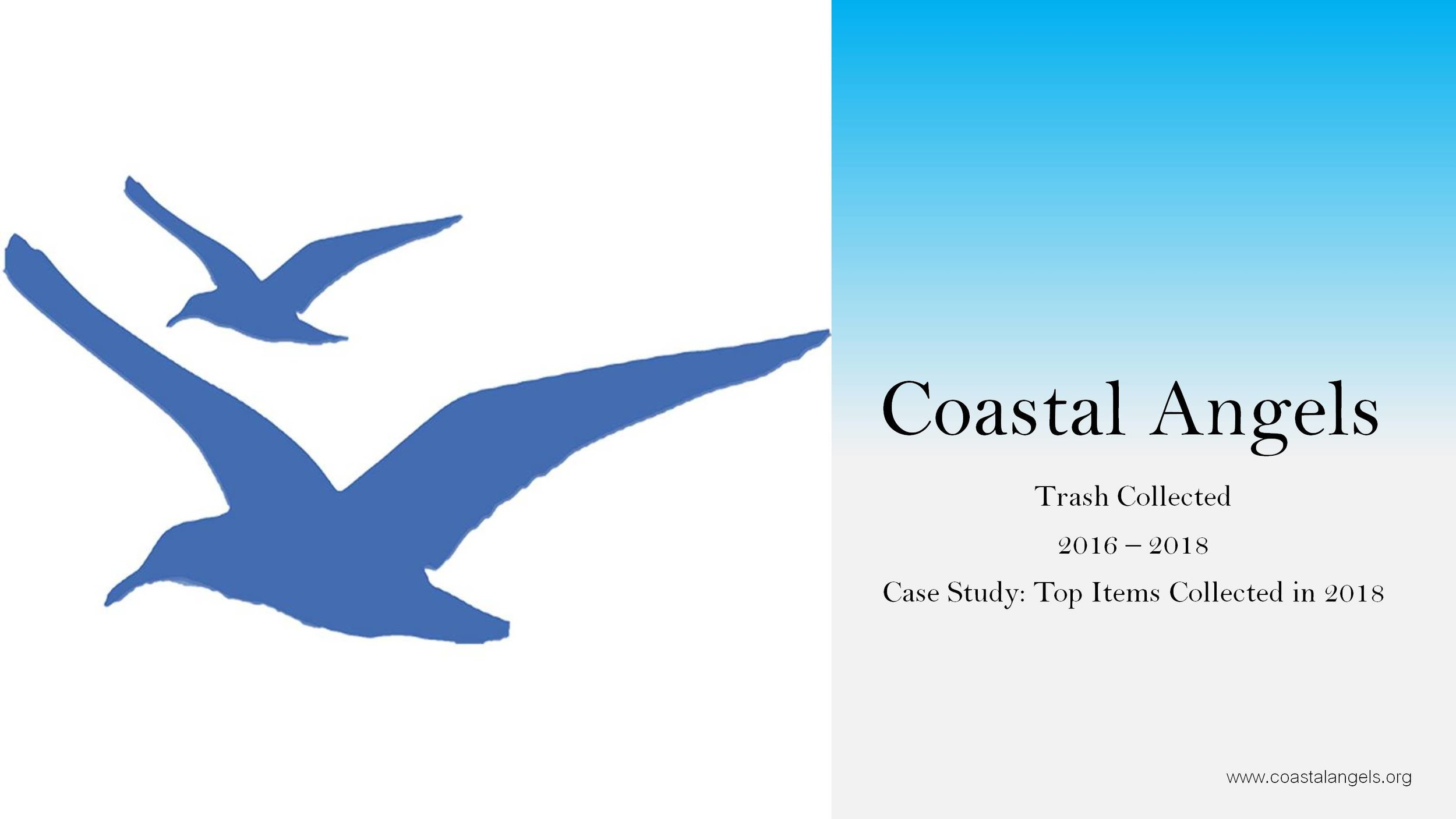 Coastal Angels Annual Totals.jpg