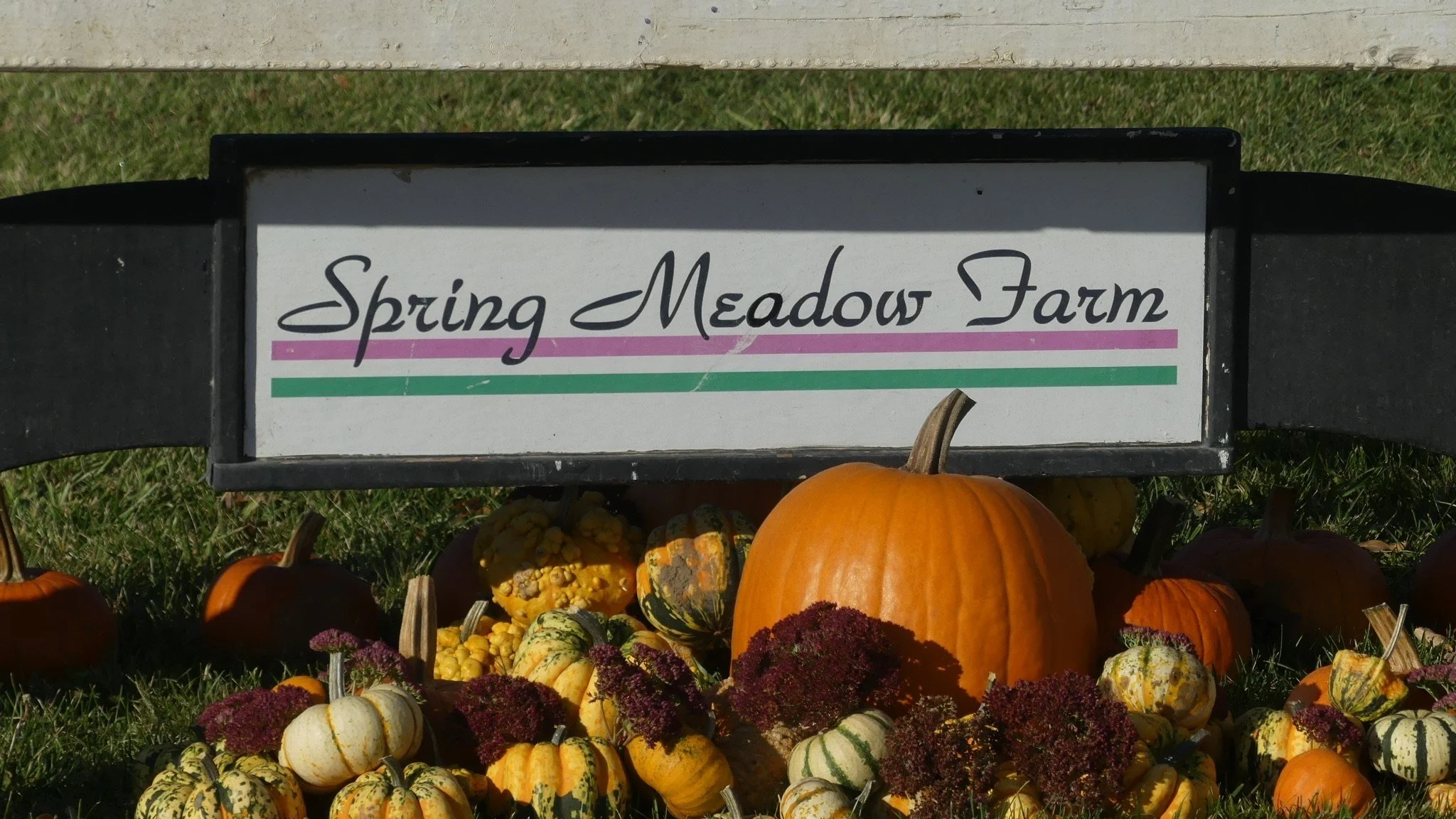 Contact — Spring Meadow Farm