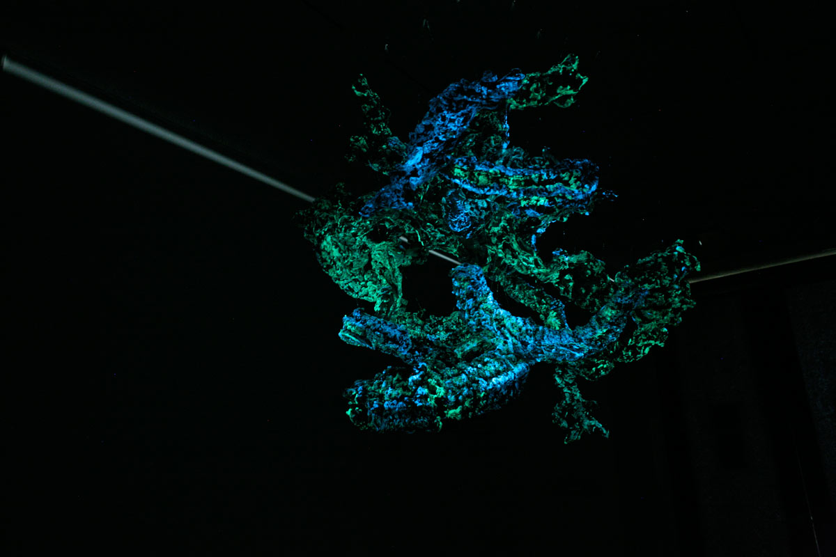 davidirvingweiner_phosph_7.jpg