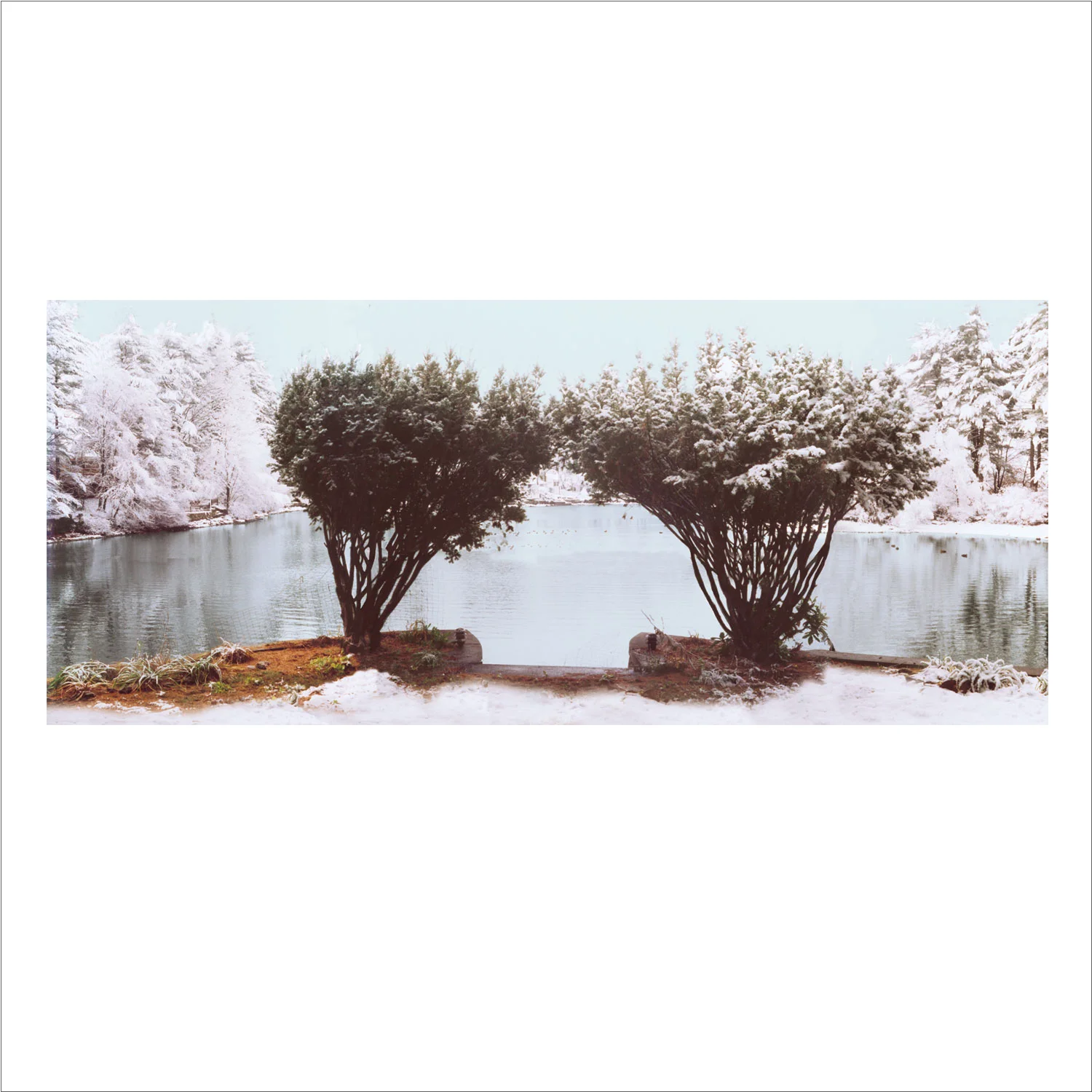 Greeting Card