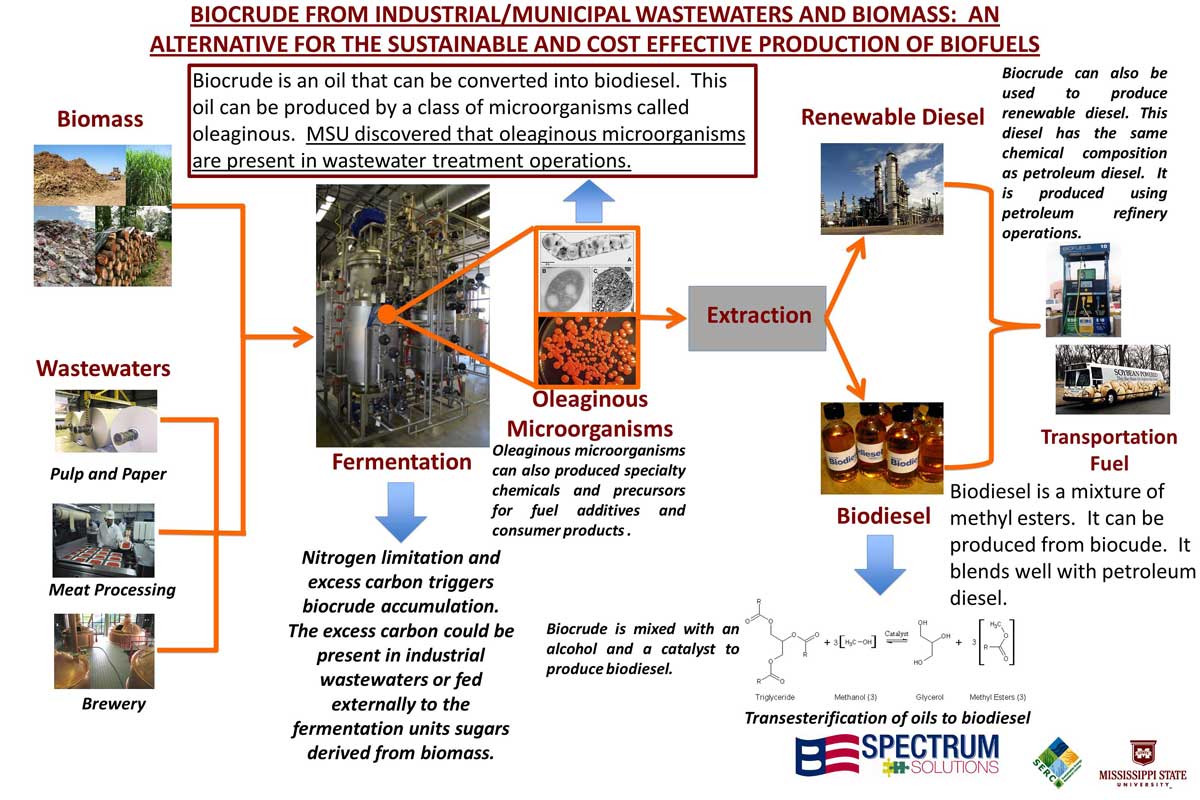 (C) Spectrum Solutions / MSU. Me getting fat is an easy process; getting bacteria to get fat is somewhat more complex