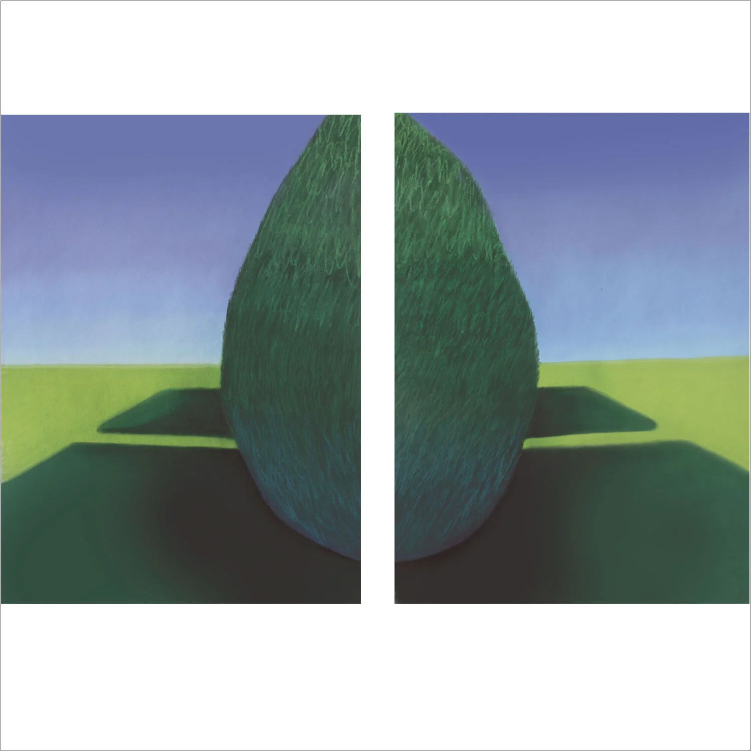 Washington Bushes , pastel on paper, diptych, 56 x 34 inches, private collection