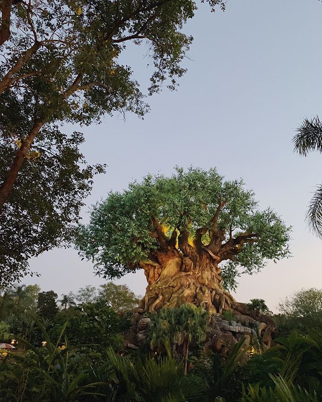 This tree isn&rsquo;t a real tree. But that makes it a better metaphor, I think. It&rsquo;s manufactured, and - in a lot of ways - so are we.
.
We&rsquo;re shaped by the people in our lives. We&rsquo;re shaped by our upbringing. We&rsquo;re shaped by