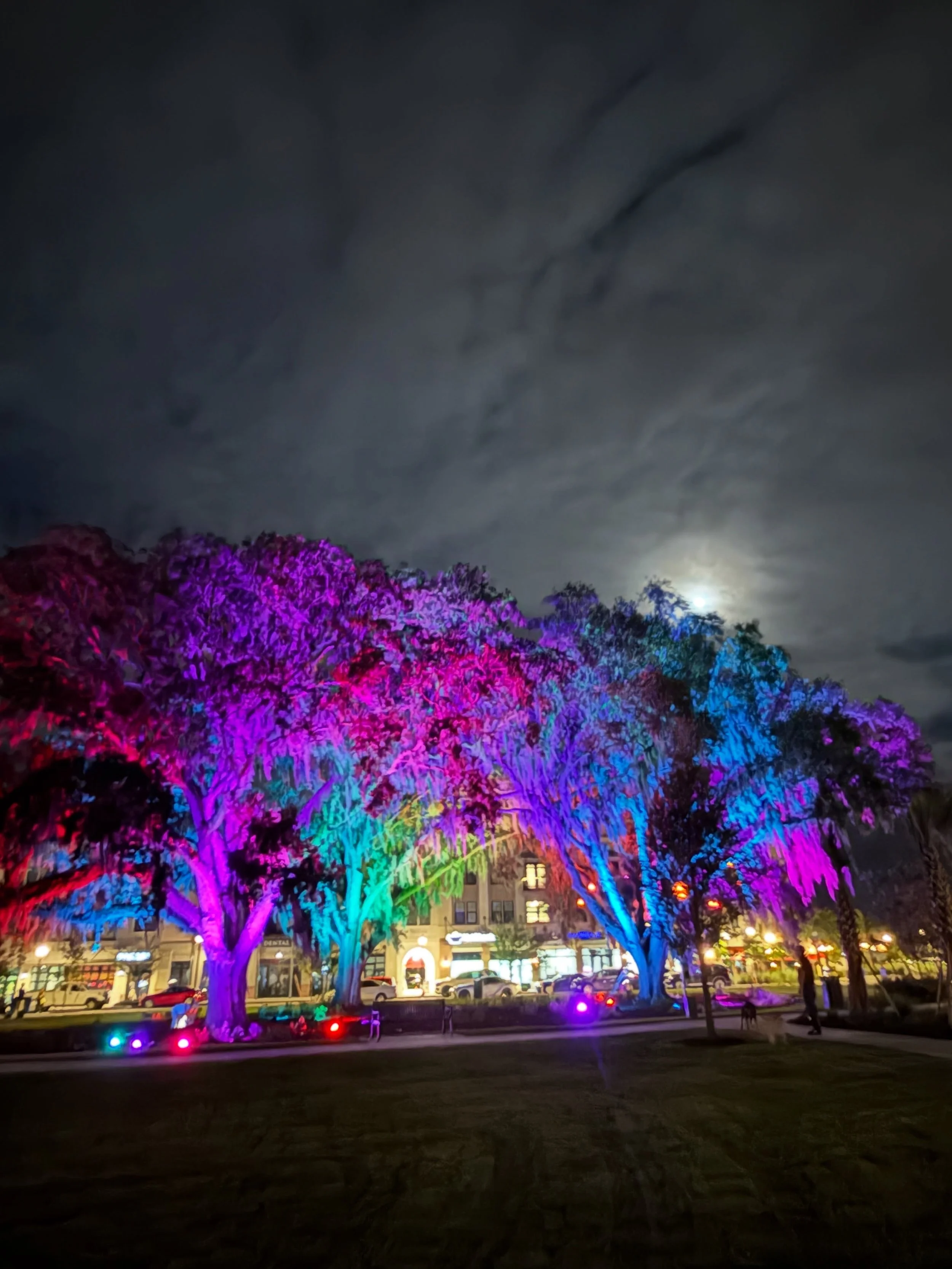 The deep desire for meaningful human connection. These aren&rsquo;t just lights in trees. This is the expression of making every place and moment meaningful through creative expression. It&rsquo;s why I started @memoiragency. It&rsquo;s why we create