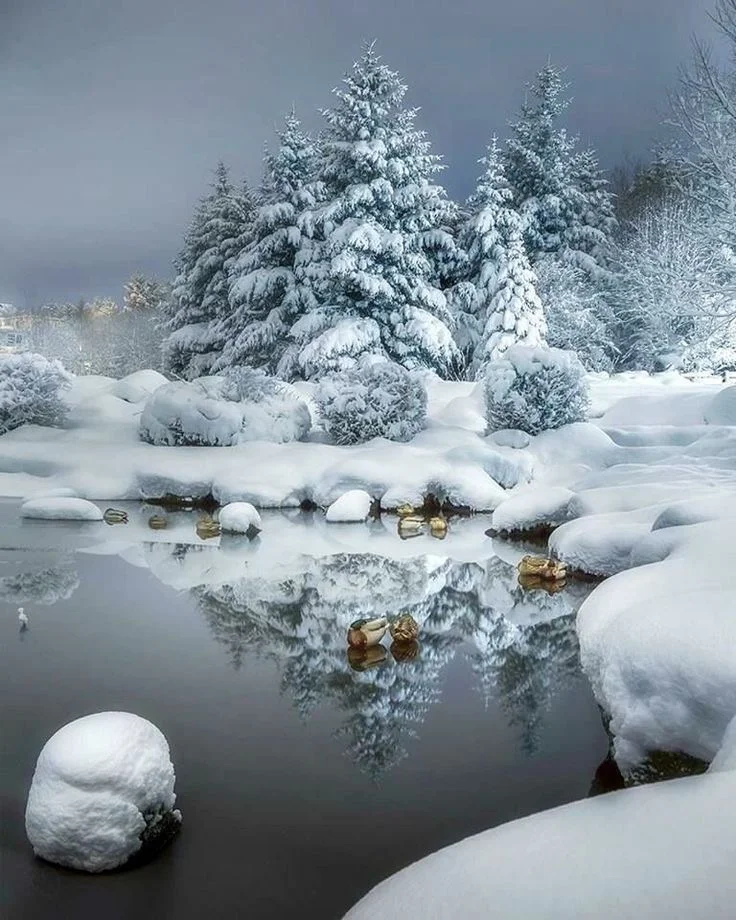 Winter Lake 