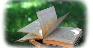 Recent Event: North Hills Pittsburgh Branch Fall Fundraiser: For The Love of Books&nbsp;