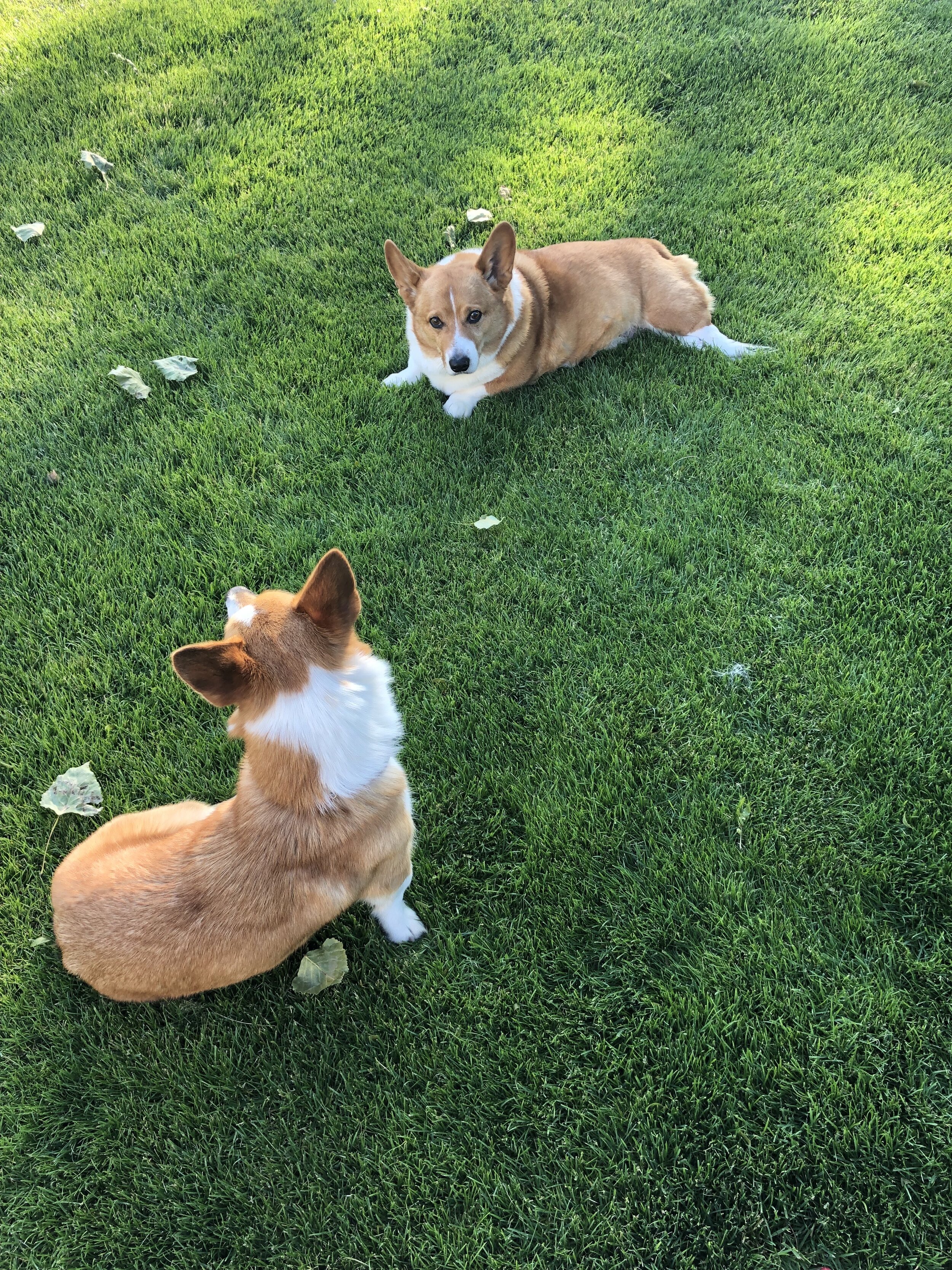 They didn’t know each other long but I like to believe they grew to love each other.