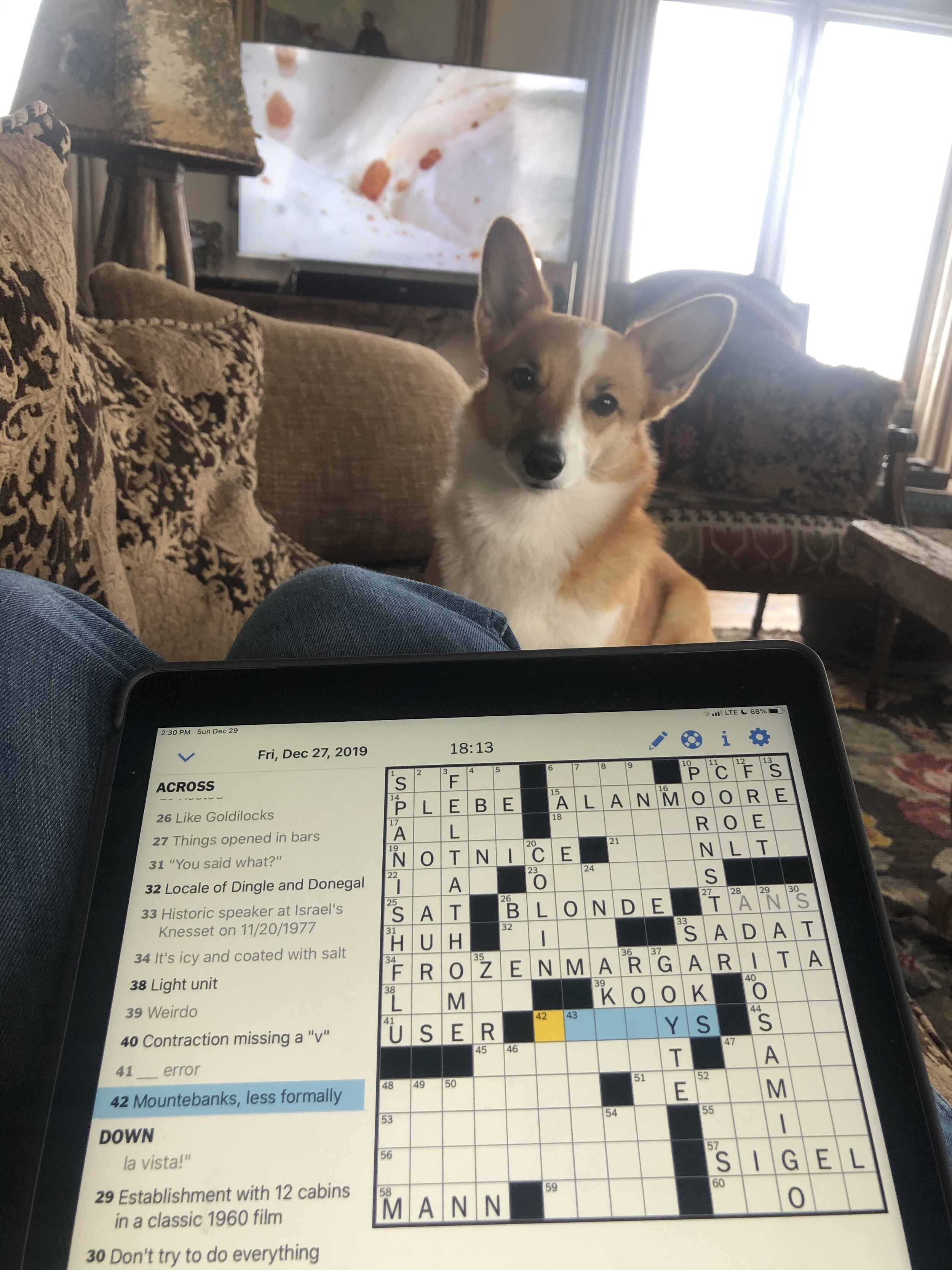 The ideal Sunday afternoon.