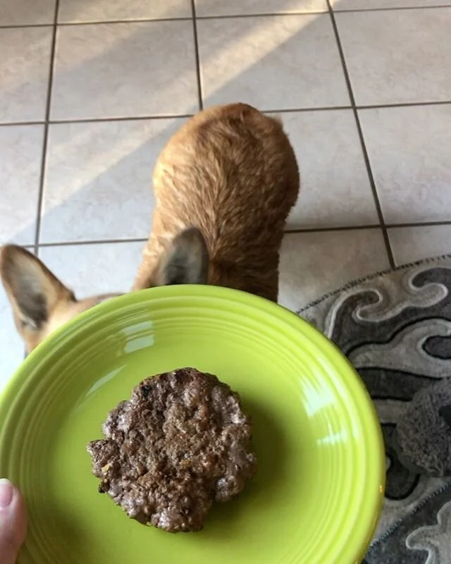 A balanced birthday feat. a burger and a bath. Here&rsquo;s to two, kiddo. 💚