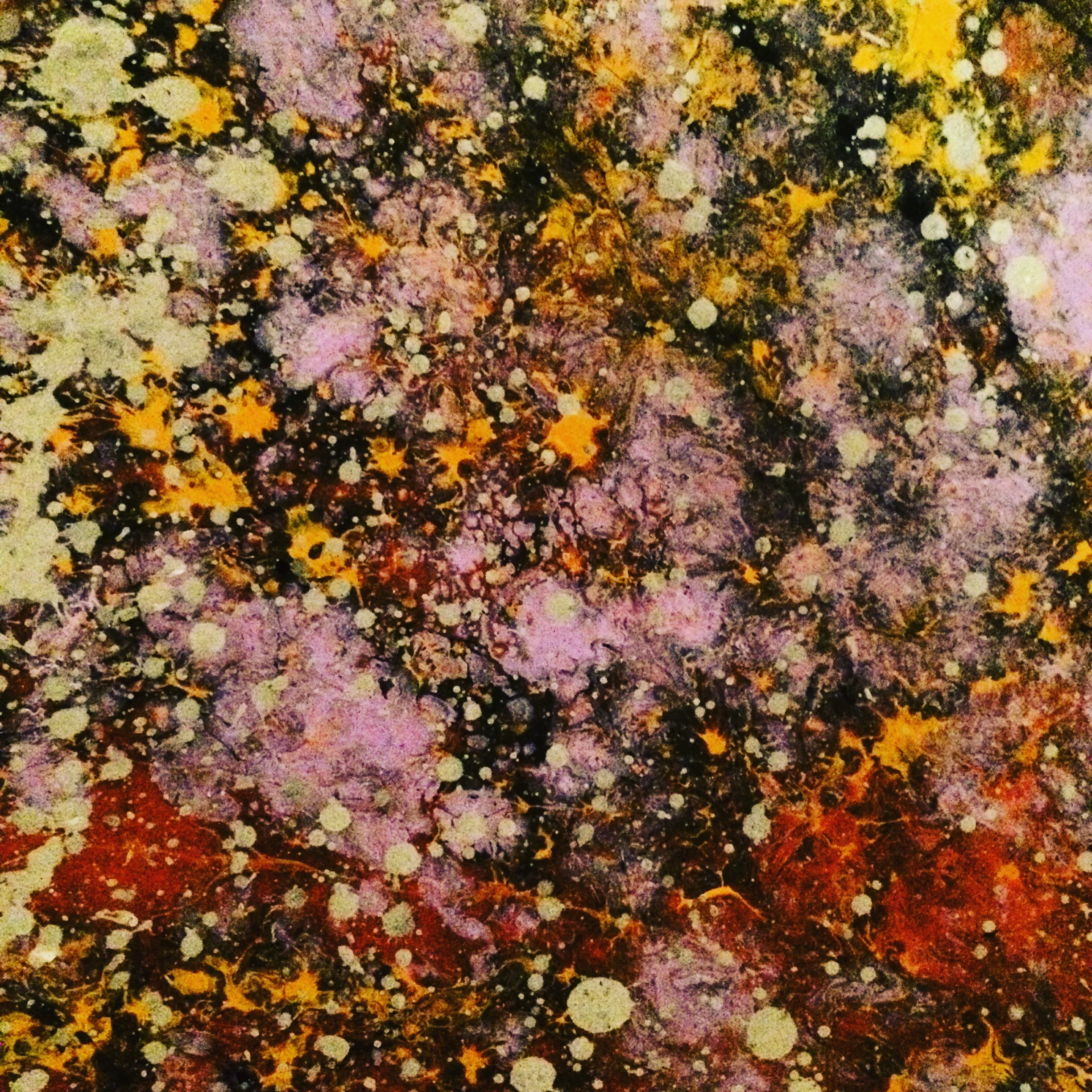 At The Edge Of The World You Will Still Float