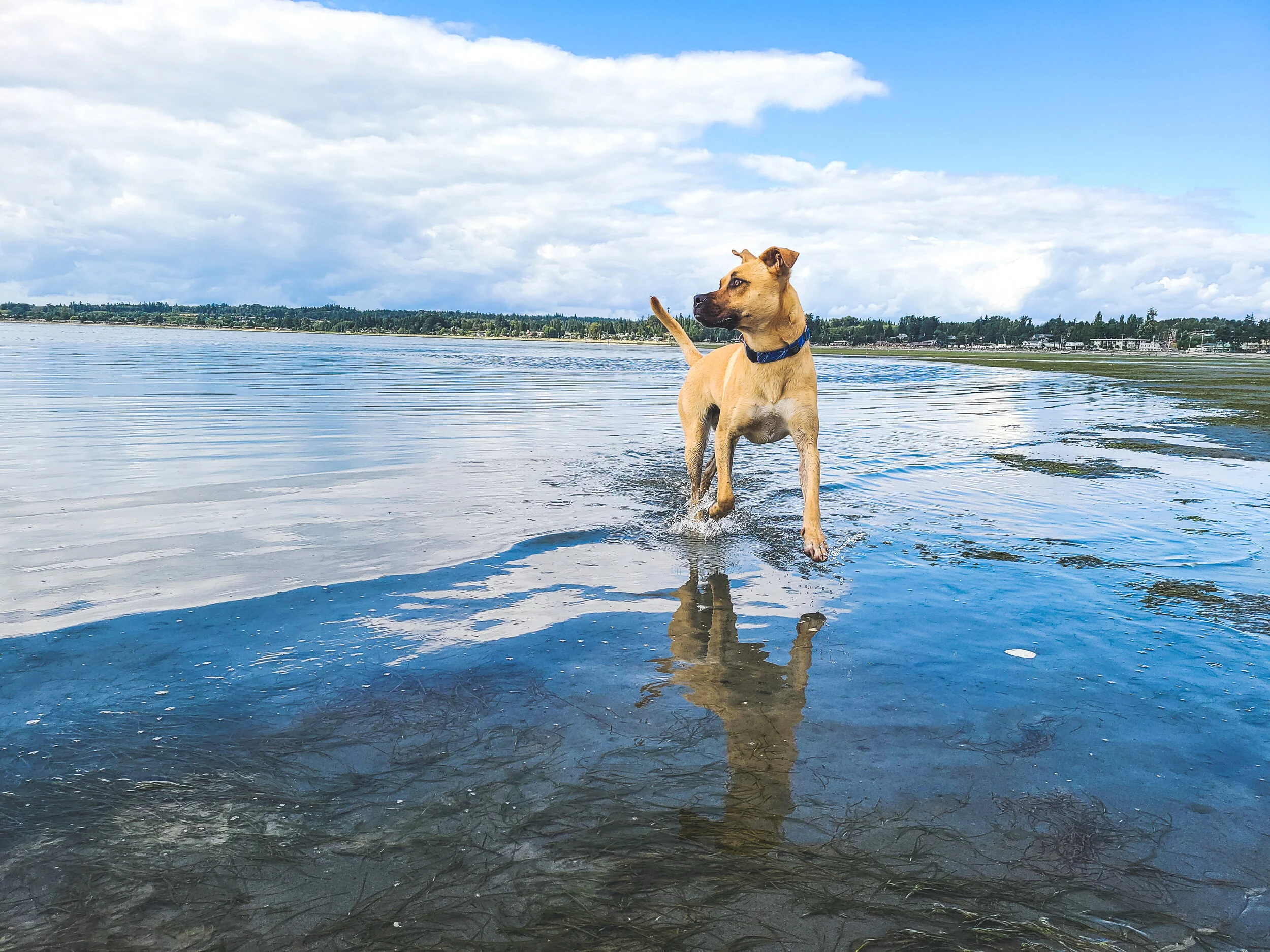 20200806_153534_07_saved.jpg