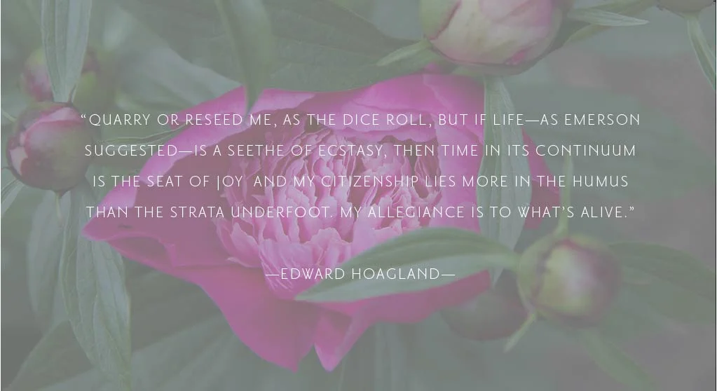 Edward Hoagland_Quarry_&_Reseed.jpg
