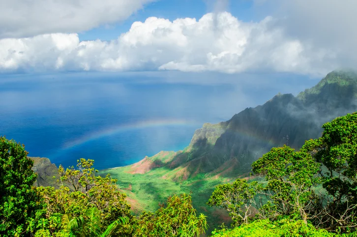 Hawaii Donor to Donor Jim Frederick.jpg