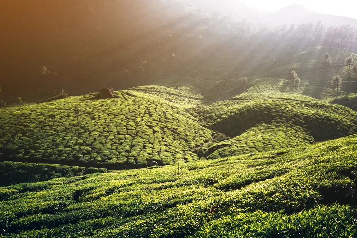 India-507690156.jpg