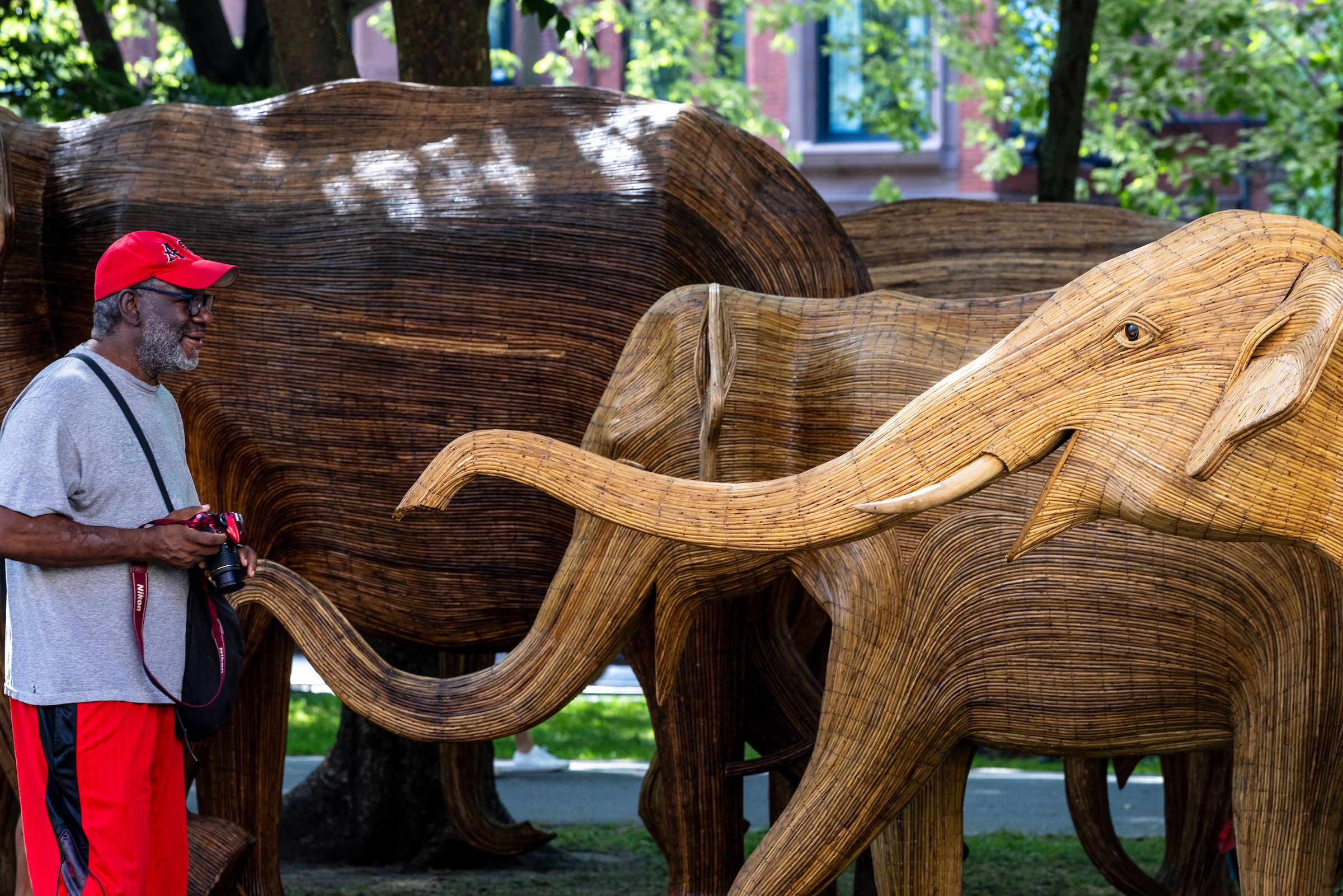 260808_Elephants013.png