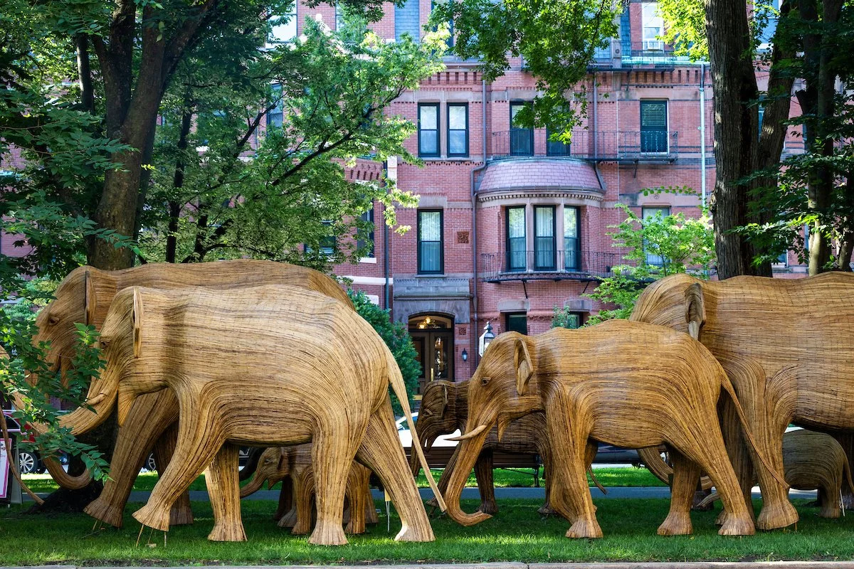 260807_Elephants16.jpg