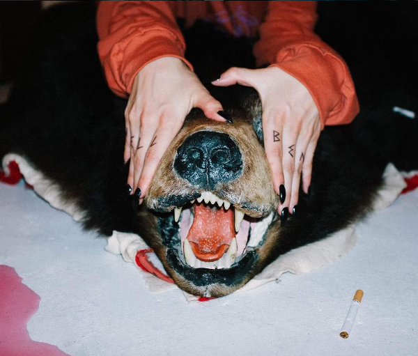 blaise moore bear.png