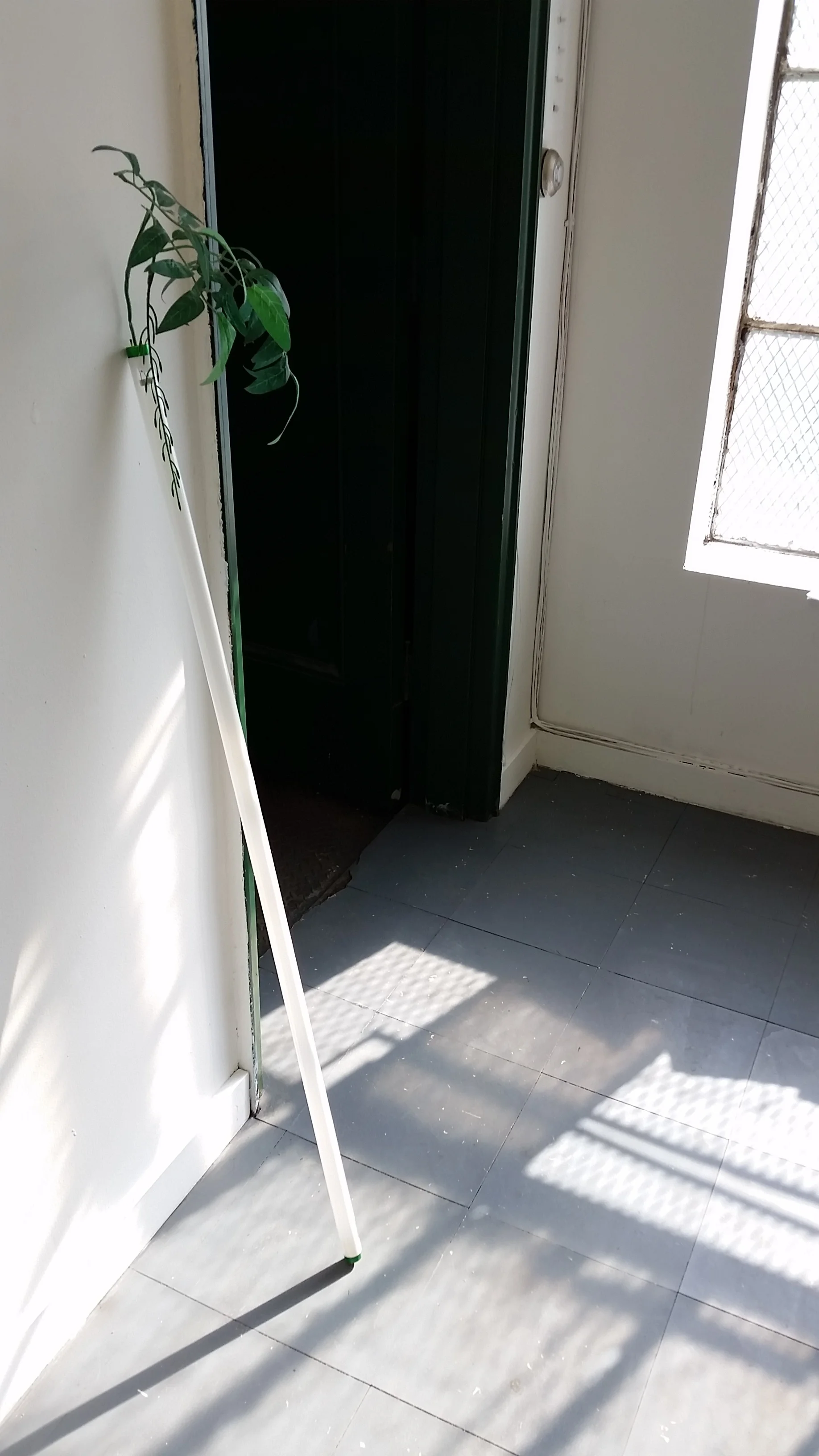 Your plans to make me blue