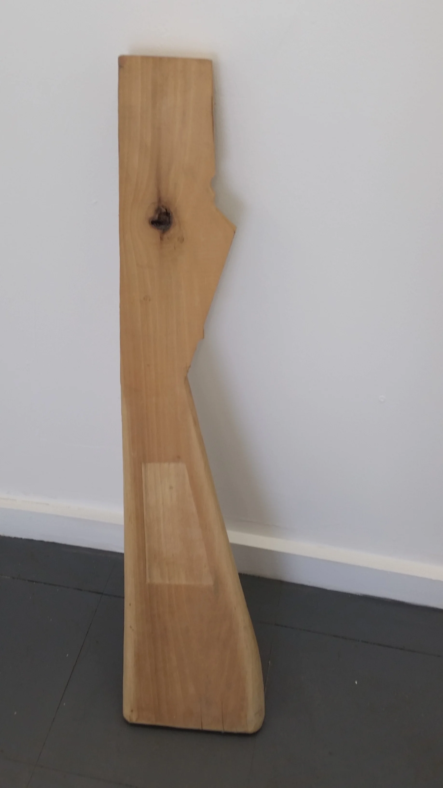 Fortress of a young artist