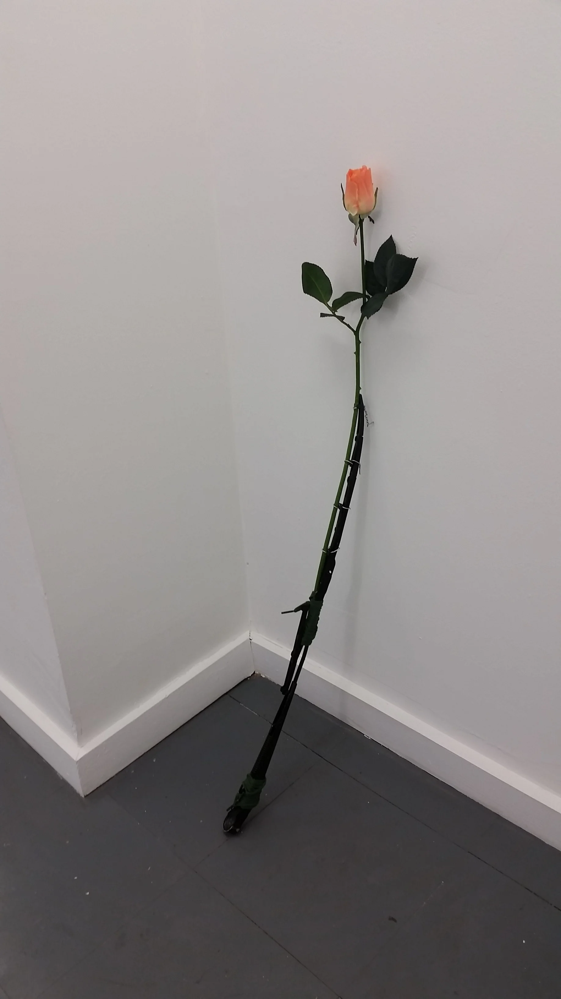 "All those moments will be lost in time"