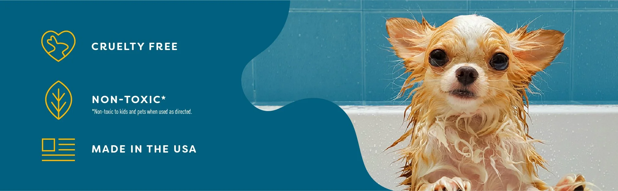 amazon.banners-03.jpg