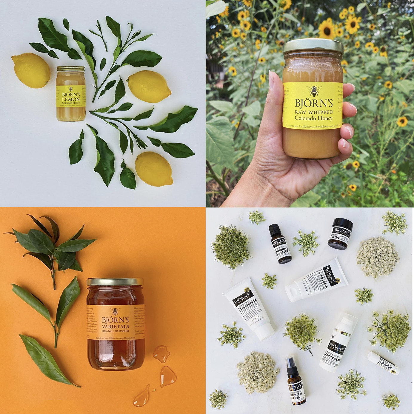 Screen Shot 2021-12-12 at 1.24.28 PM.png