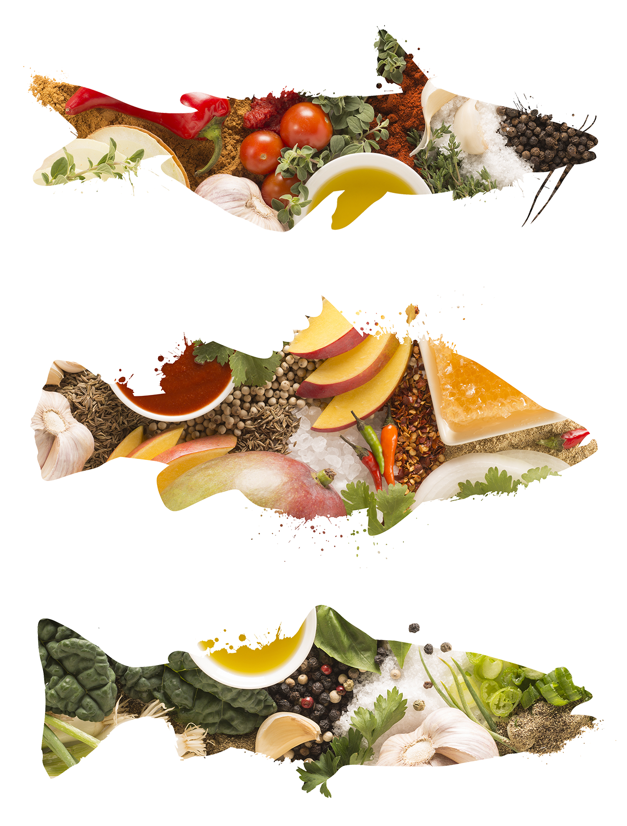all.fish.png