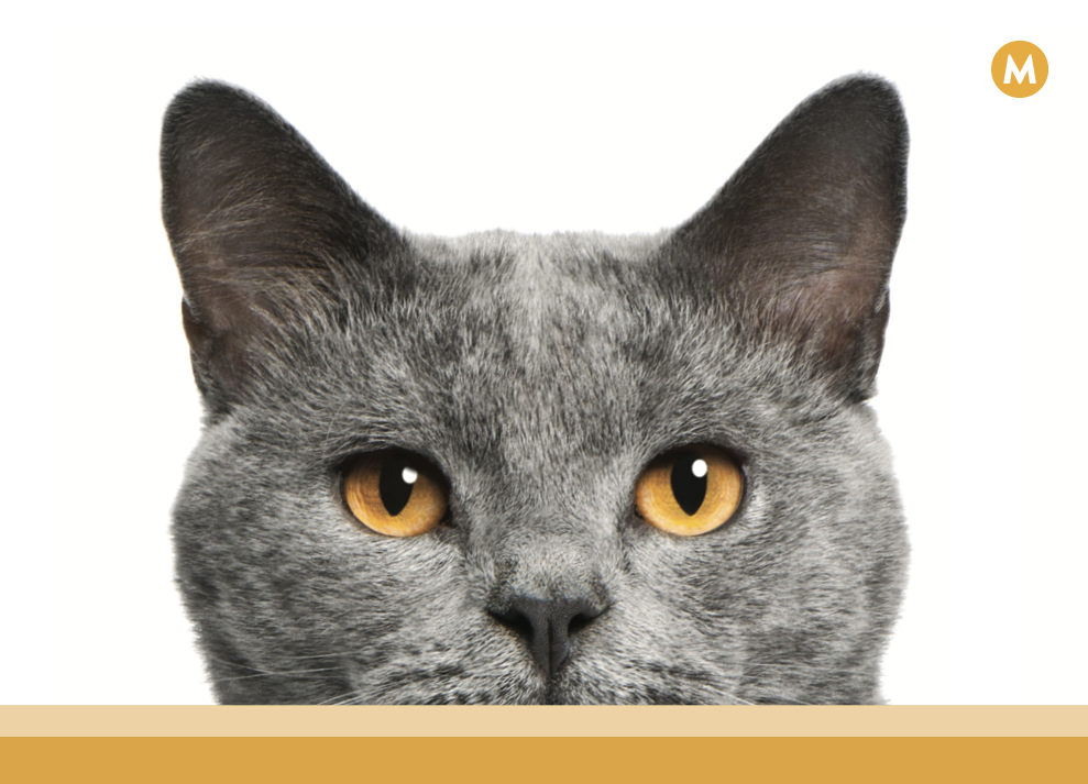 Screenshot 2026-01-20 at 10.35.59 AM.png