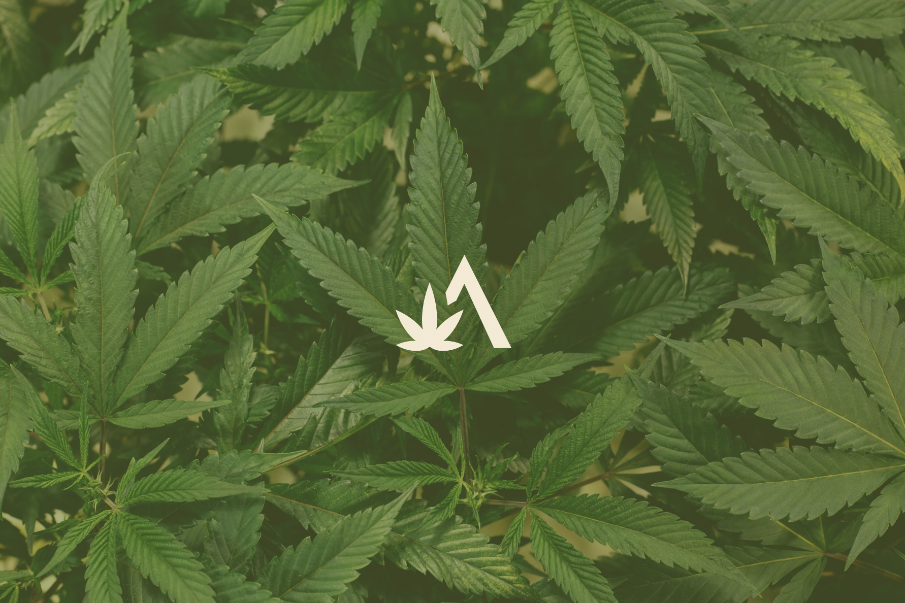 Screenshot 2025-04-03 at 10.40.21 PM.png