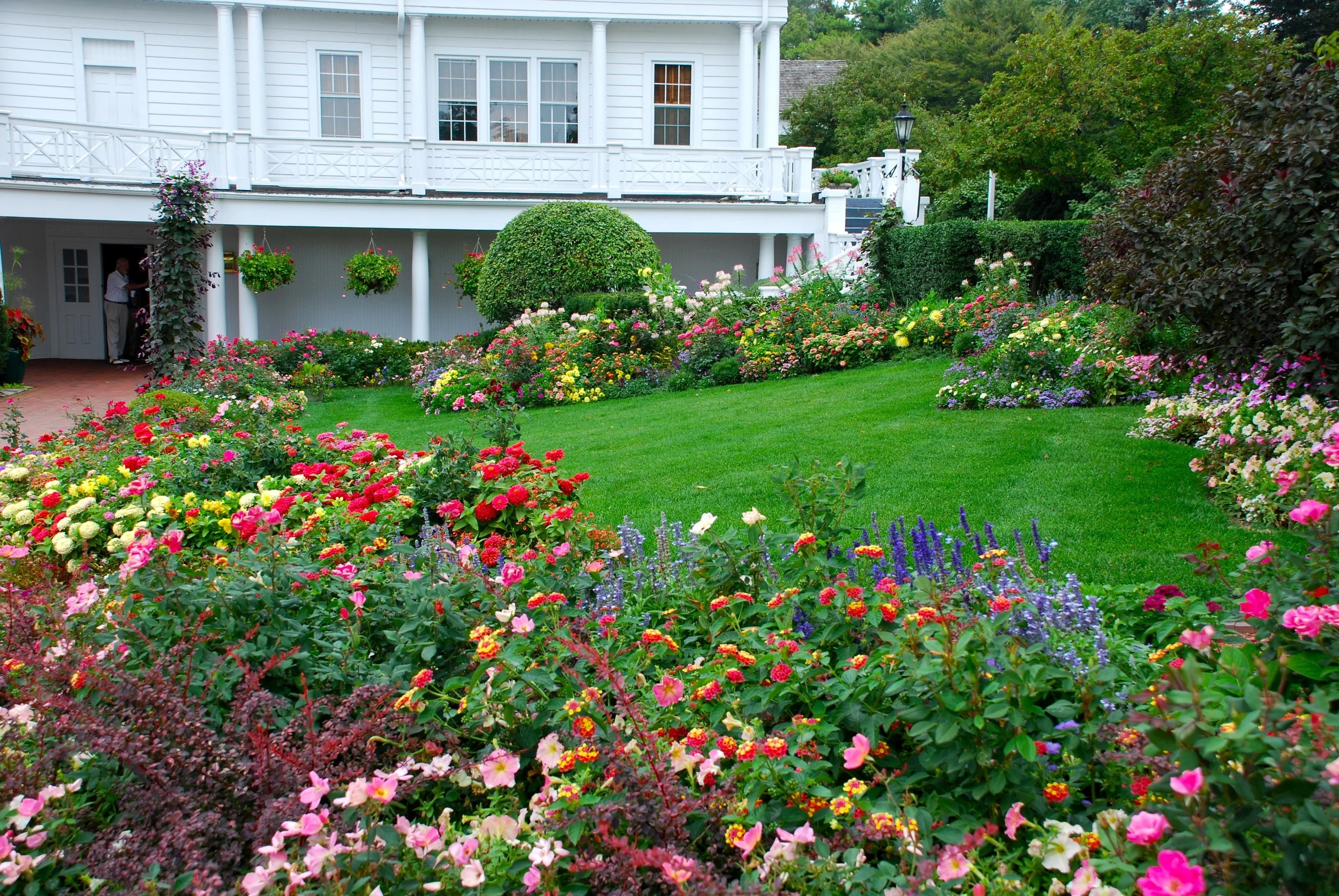 Rainbow Garden