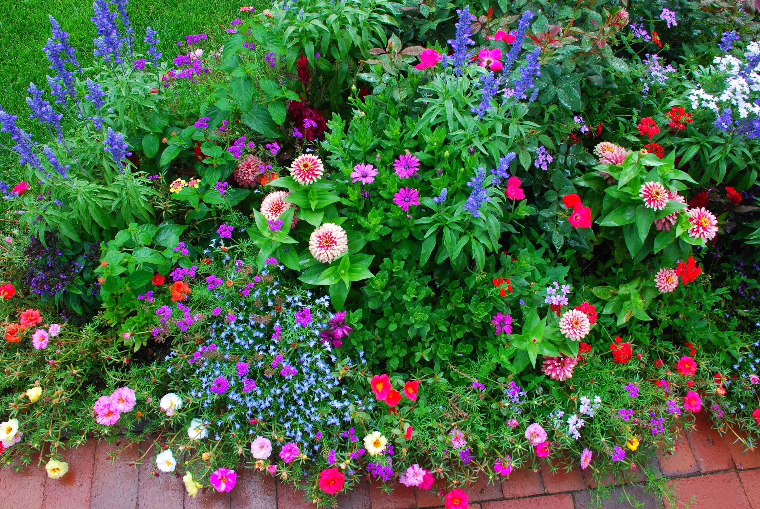 Bright & Full of Life