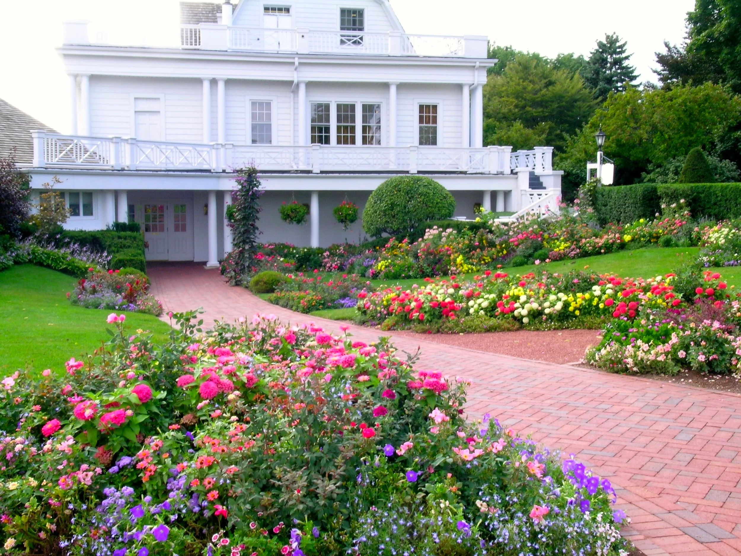 Flowers, Flowers, Flowers