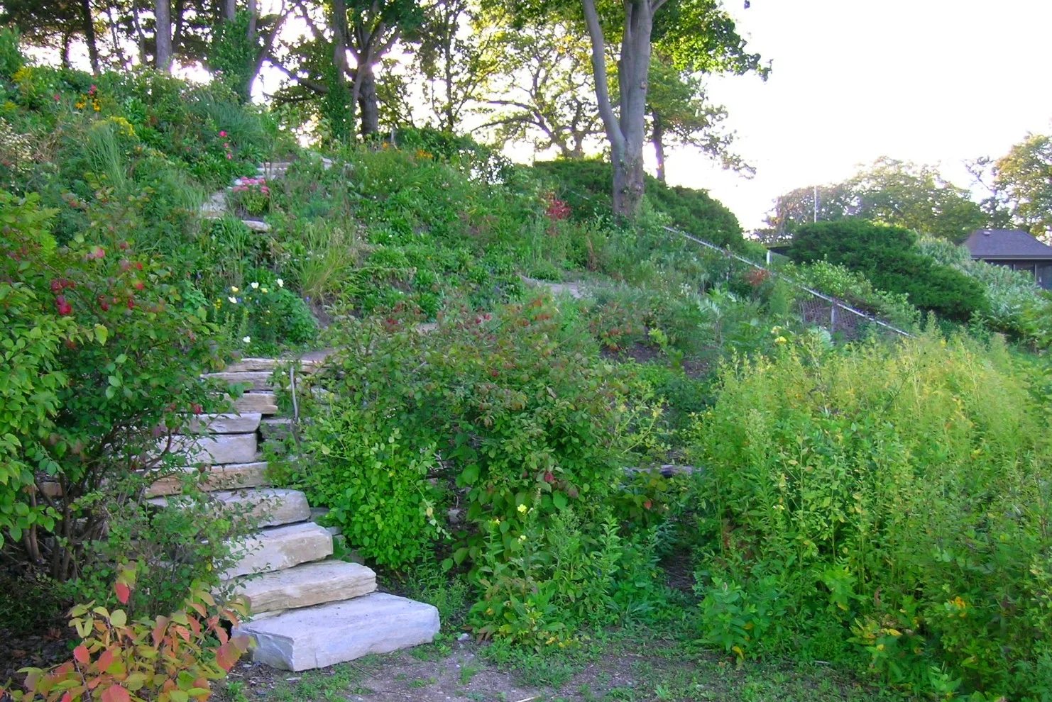 Smooth Path Down