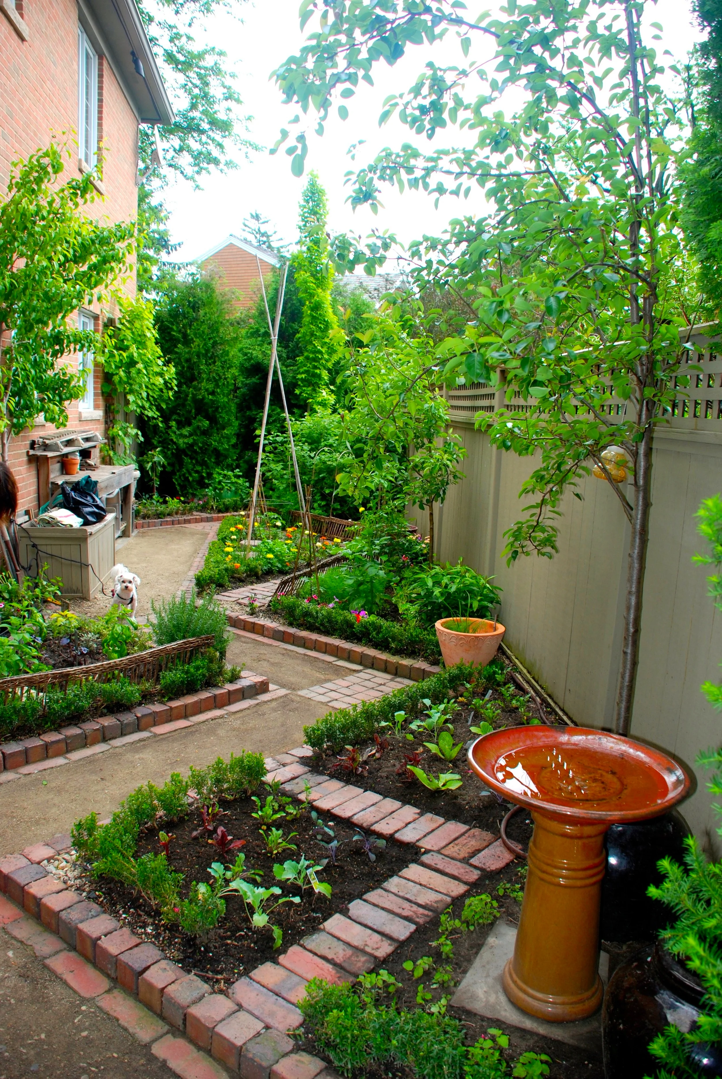 Fruit, Vegetable and Cutting Garden