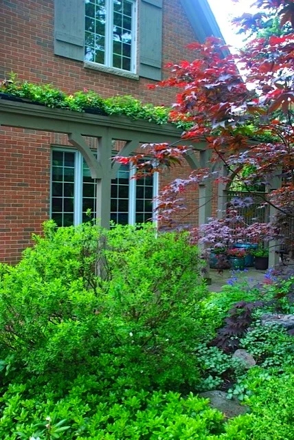Flowering Pergola