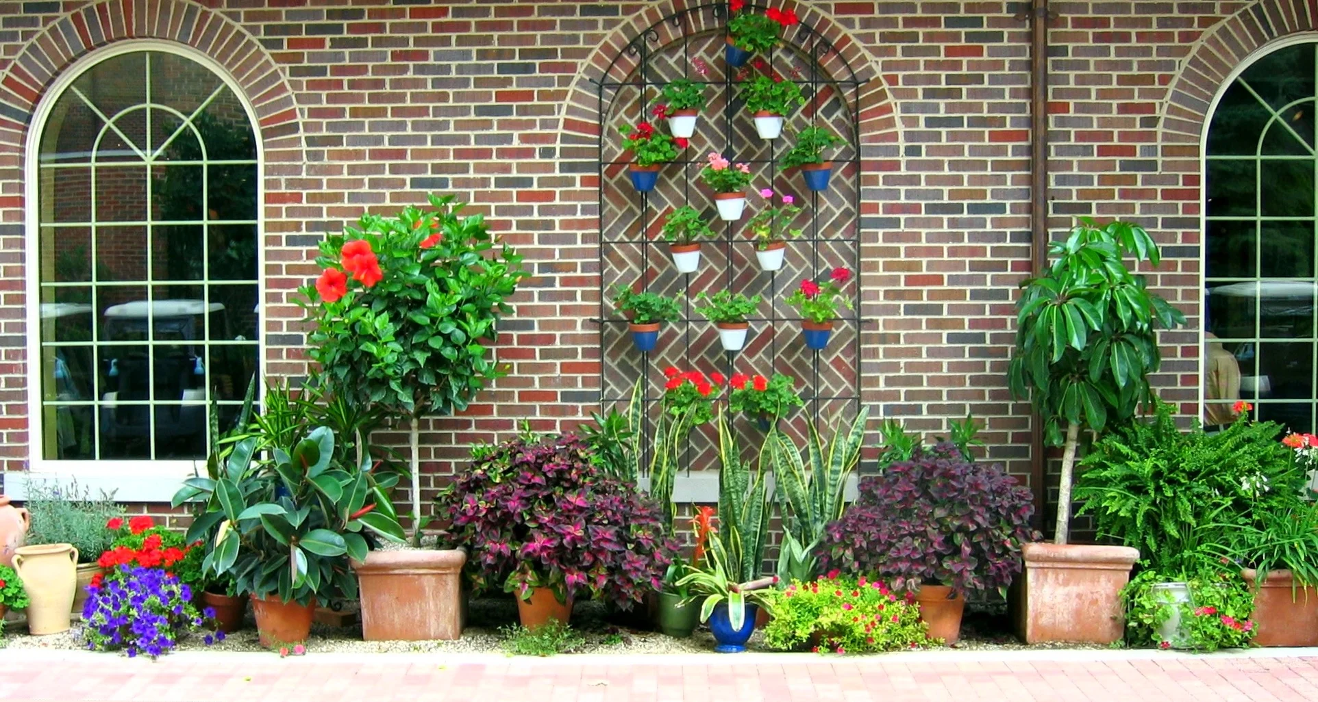 Make a Garden Anywhere