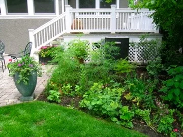 Patio Perennial Party
