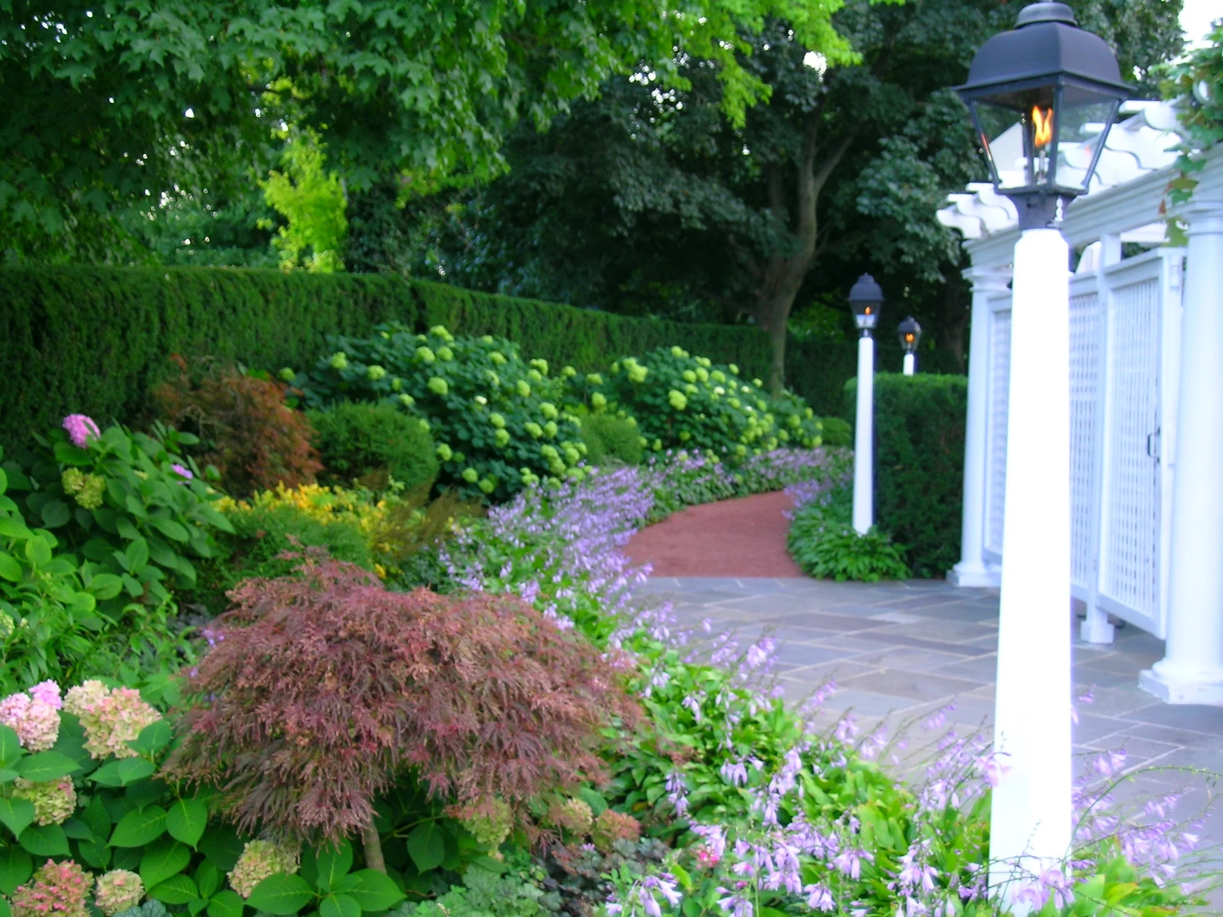 Maple Walk