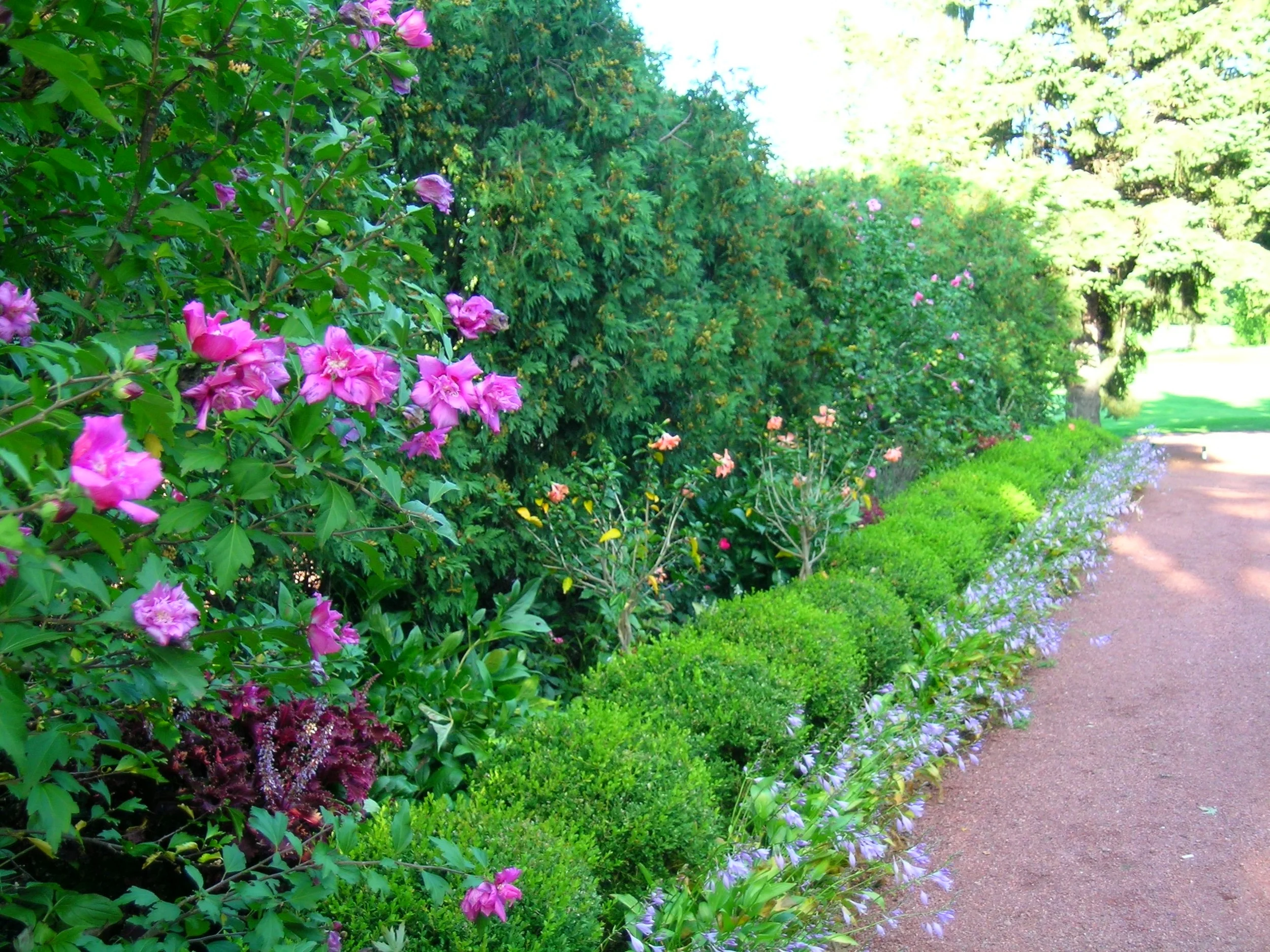 Layers of Hedges