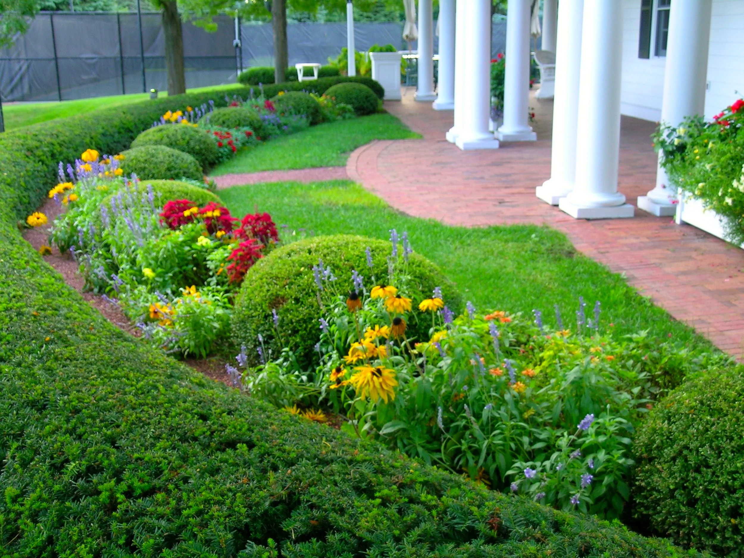 Round Boxwood Offer Structure 