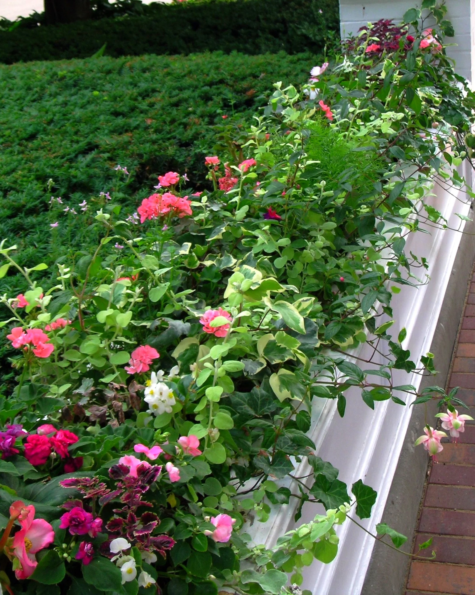 DSCN0678.jpg